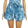 Barbie Fashionistas Pop 173